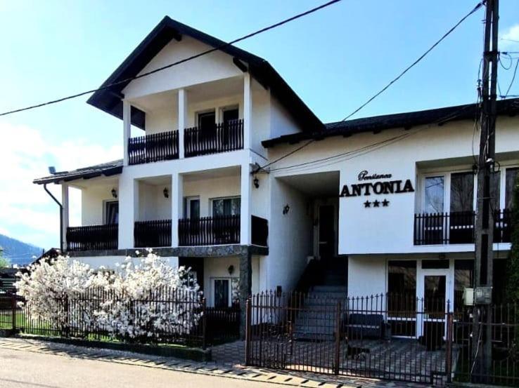 Pensiunea Antonia Vatra Dornei Exterior photo