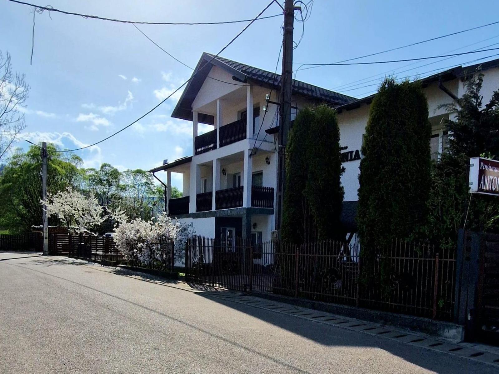 Pensiunea Antonia Vatra Dornei Exterior photo